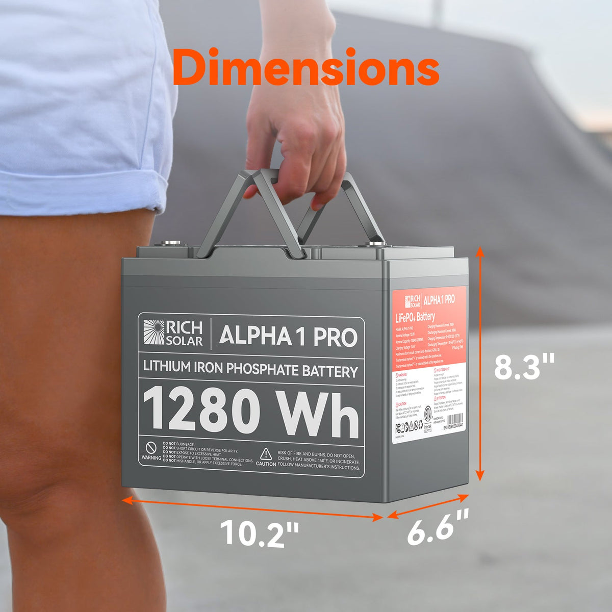 Rich Solar ALPHA 1 PRO 12V 100Ah LiFePO4 Battery